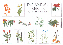 botanical_images_notecards_2020_lrg