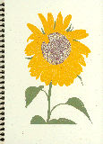 sunflower_blank_book_lrg