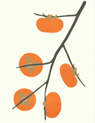 fruits_persimmons_433