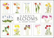 garden_blooms_note_lrg