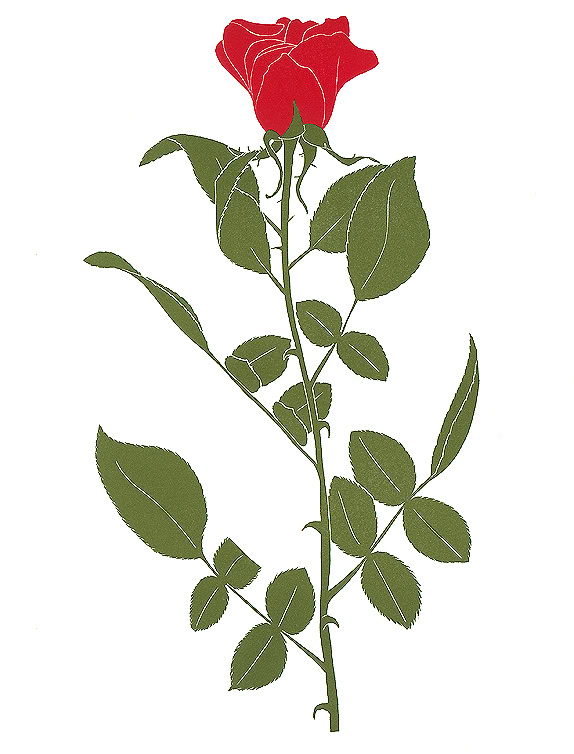 flower print red rose