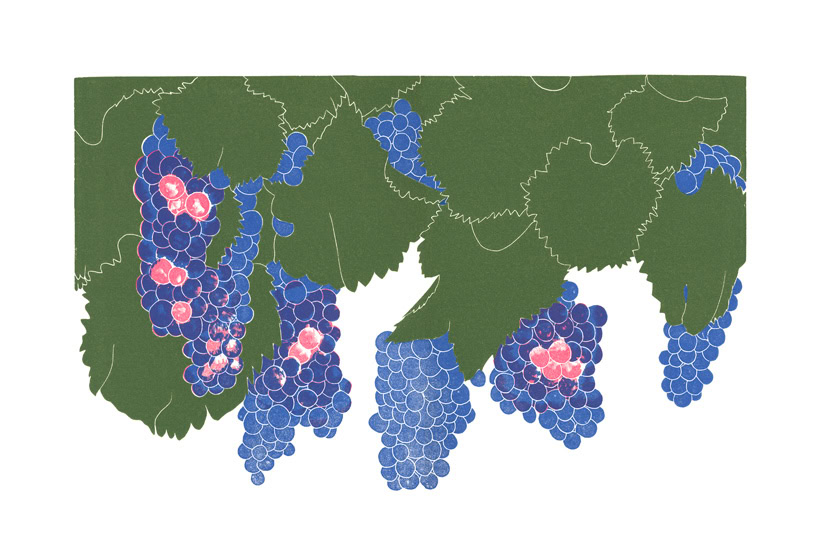 grape print grenache