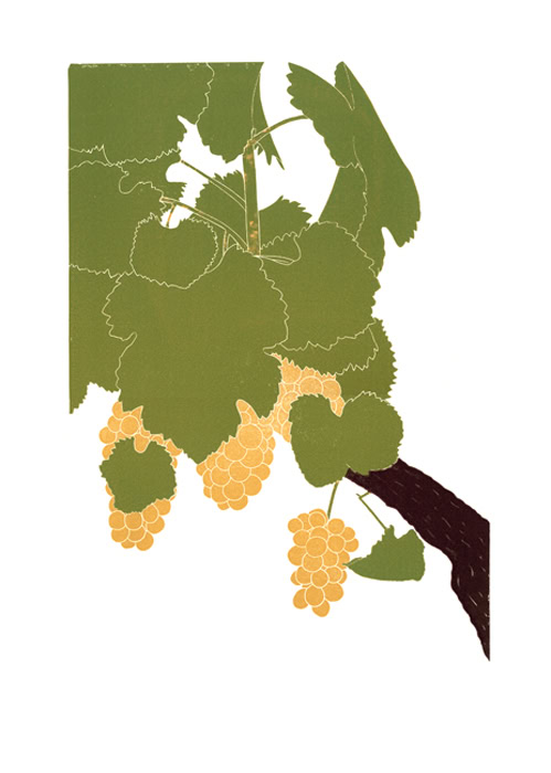 grape print sylvaner