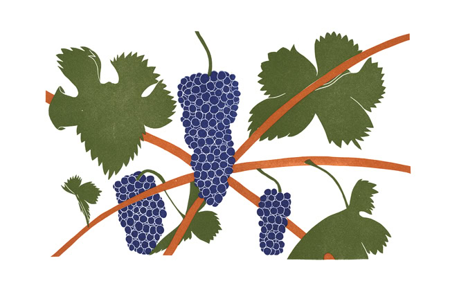 grape print zinfandel