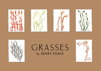 Grasses Notecards
