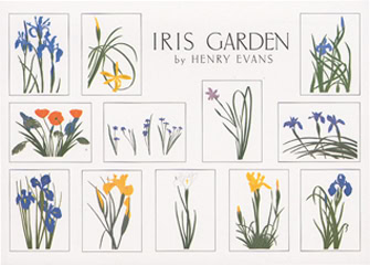 Iris Garden Notecards