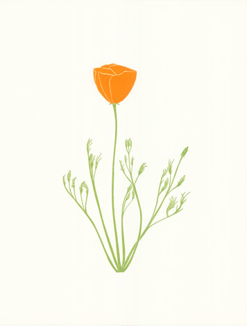 CA poppy print 