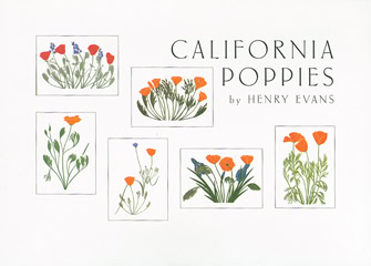 California Poppies Notecards