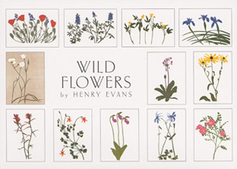 Wild Flowers Notecards